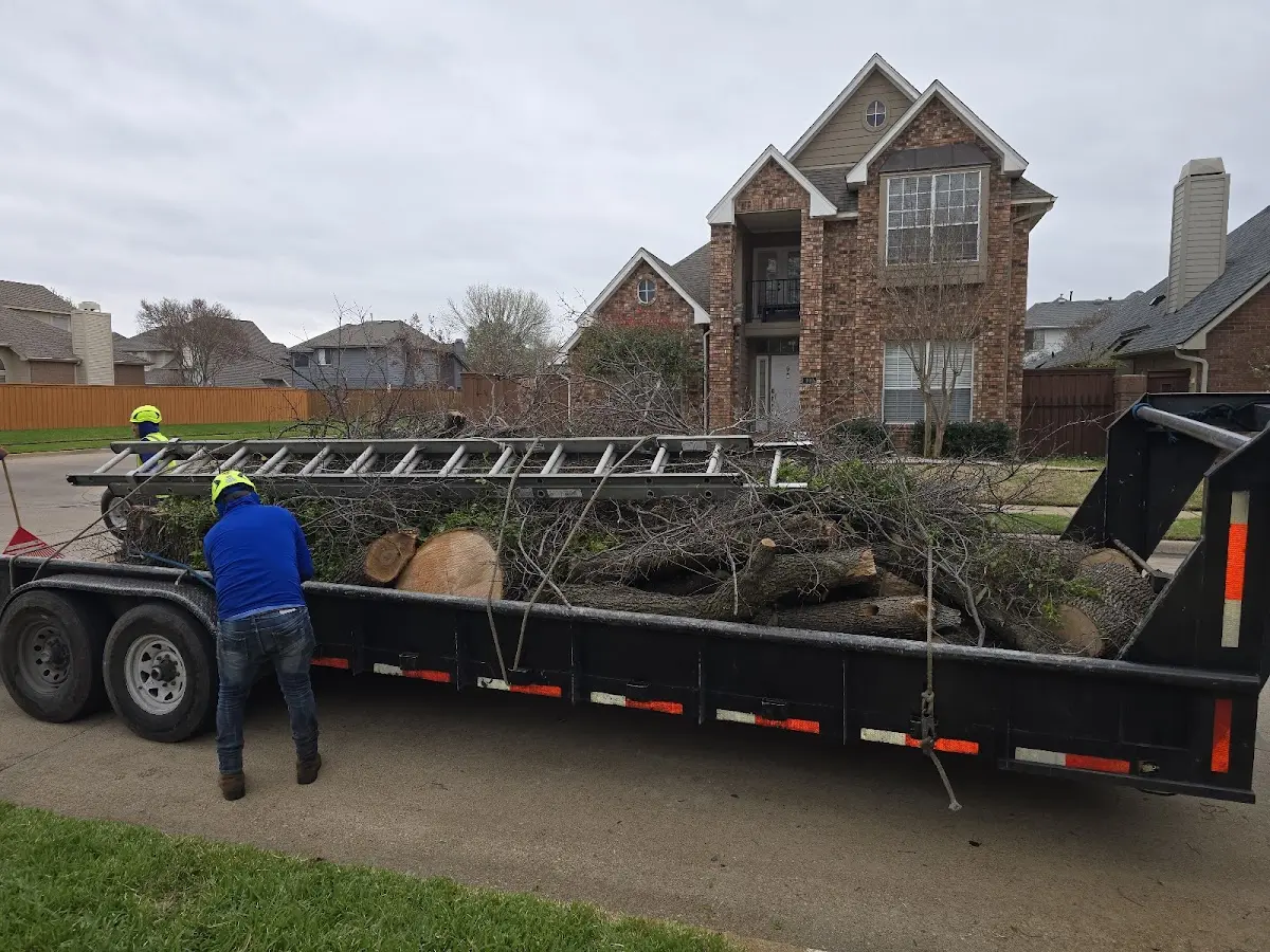Expert Lot Clearing with proper safety equipment in Shock